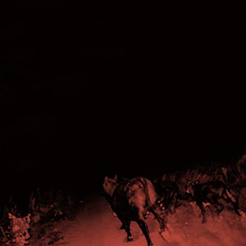 Red-toned image of horses running on a dirt road in darkness.