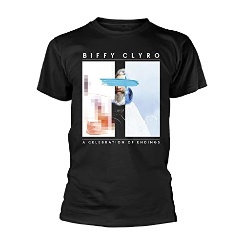 Biffy Clyro T Shirt A Celebration of Endings Band Logo Official Mens Black Medium