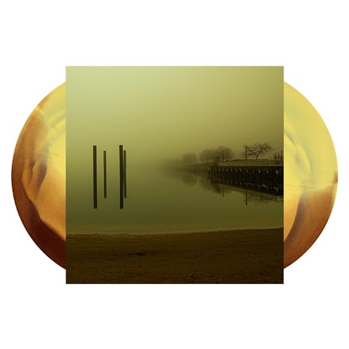 Vinyl record with a foggy landscape image of water and posts.