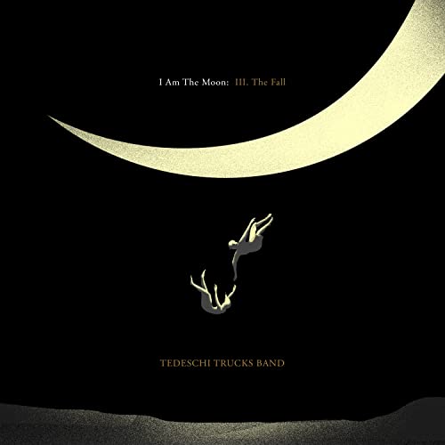 Black album cover with a crescent moon and falling figure silhouette.