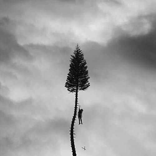 Black and white album cover with a tall tree and a distant figure.