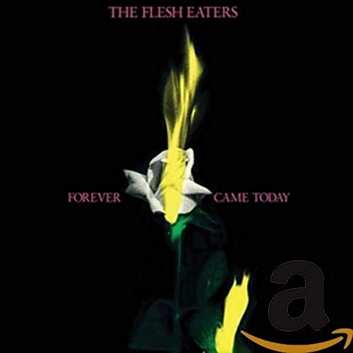 CD cover: black background with a burning white flower image.