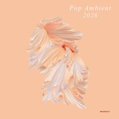 Abstract peach-colored flower petals floating on a solid light orange background.