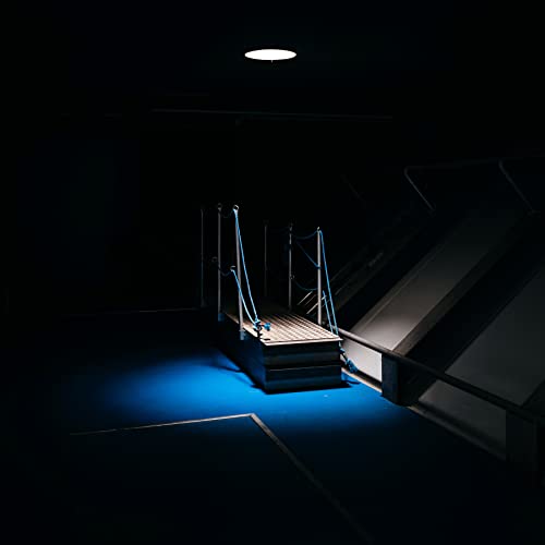 Dark rooftop stairs illuminated by a single light and blue glow.