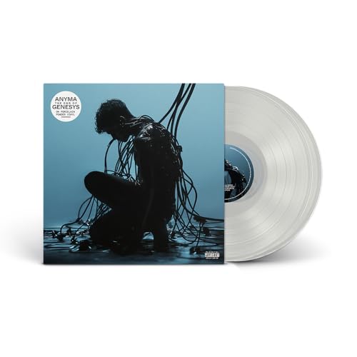 Anyma vinyl record: album cover with silhouetted figure and white disc.