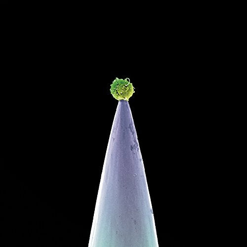 Abstract image of a green and purple conical shape against black.