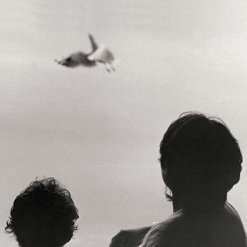 Black and white photo of people looking up at a bird in flight.