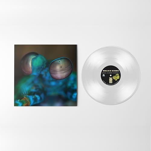 Vinyl record and album cover with abstract, colorful, organic imagery.