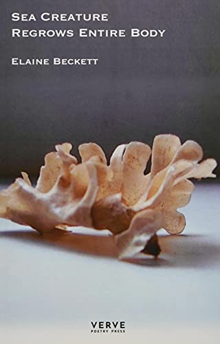 Sea Creature Regrows Entire Body