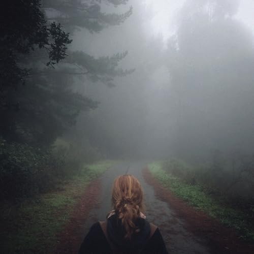 Person seen from behind walking down a foggy path in a forest.
