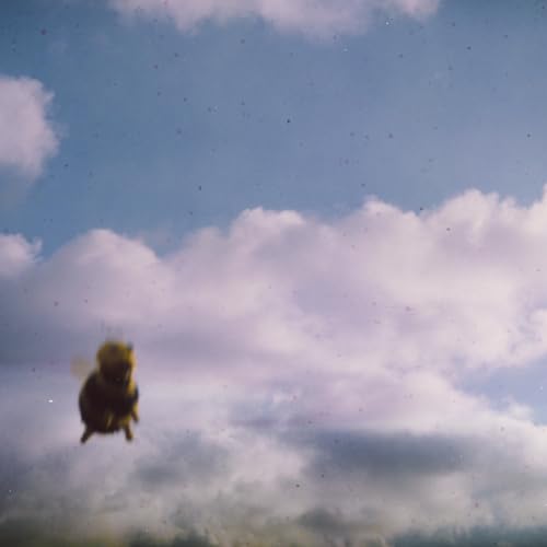 CD cover for Pond’s “Stung!” featuring a blurred bee against clouds.