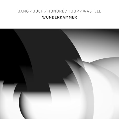 Album cover for "Wunderkammer" with abstract grayscale spiral design.