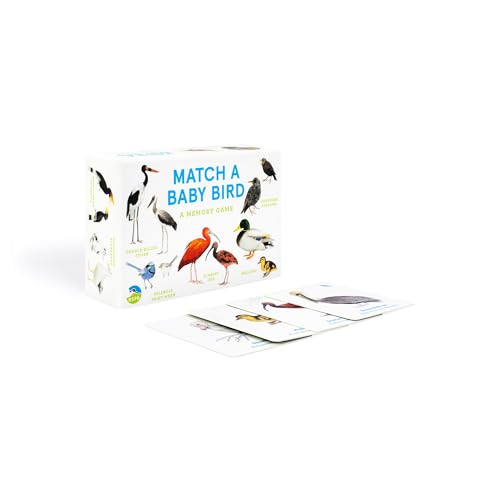 Match a Baby Bird : A Memory Game