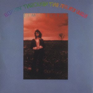 A person stands in a field under a red sky on this CD cover.
