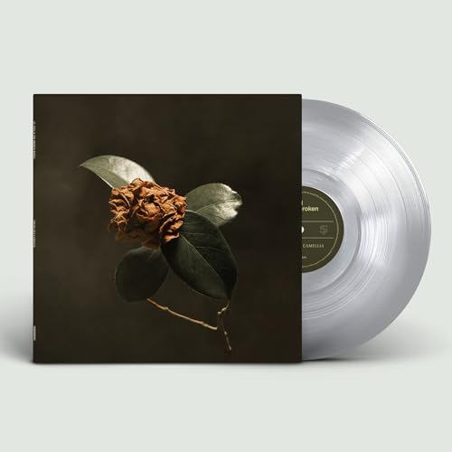 Album cover with a dried camellia flower next to a clear vinyl record.