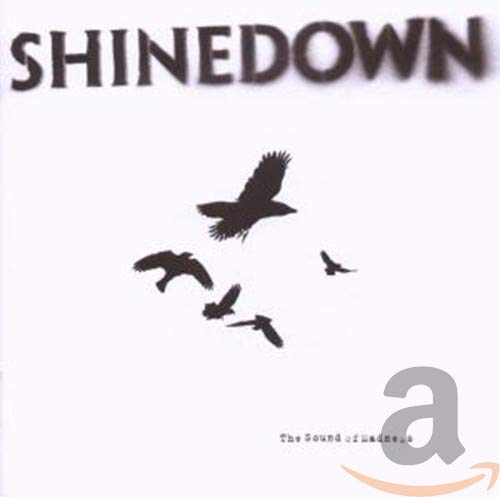 Shinedown album cover, "The Sound of Madness," with birds in flight.
