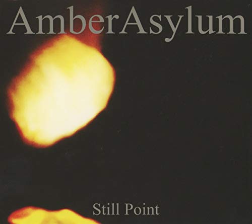 CD cover for Amber Asylum’s “Still Point” with blurred orange and black imagery.