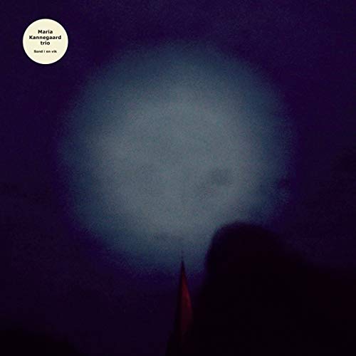 Vinyl record cover: dark blue, blurry light, and text label.