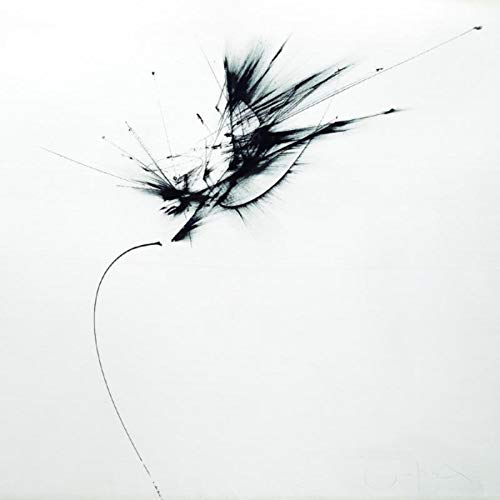 Abstract black ink brushstrokes on a white background, resembling fragmented light.