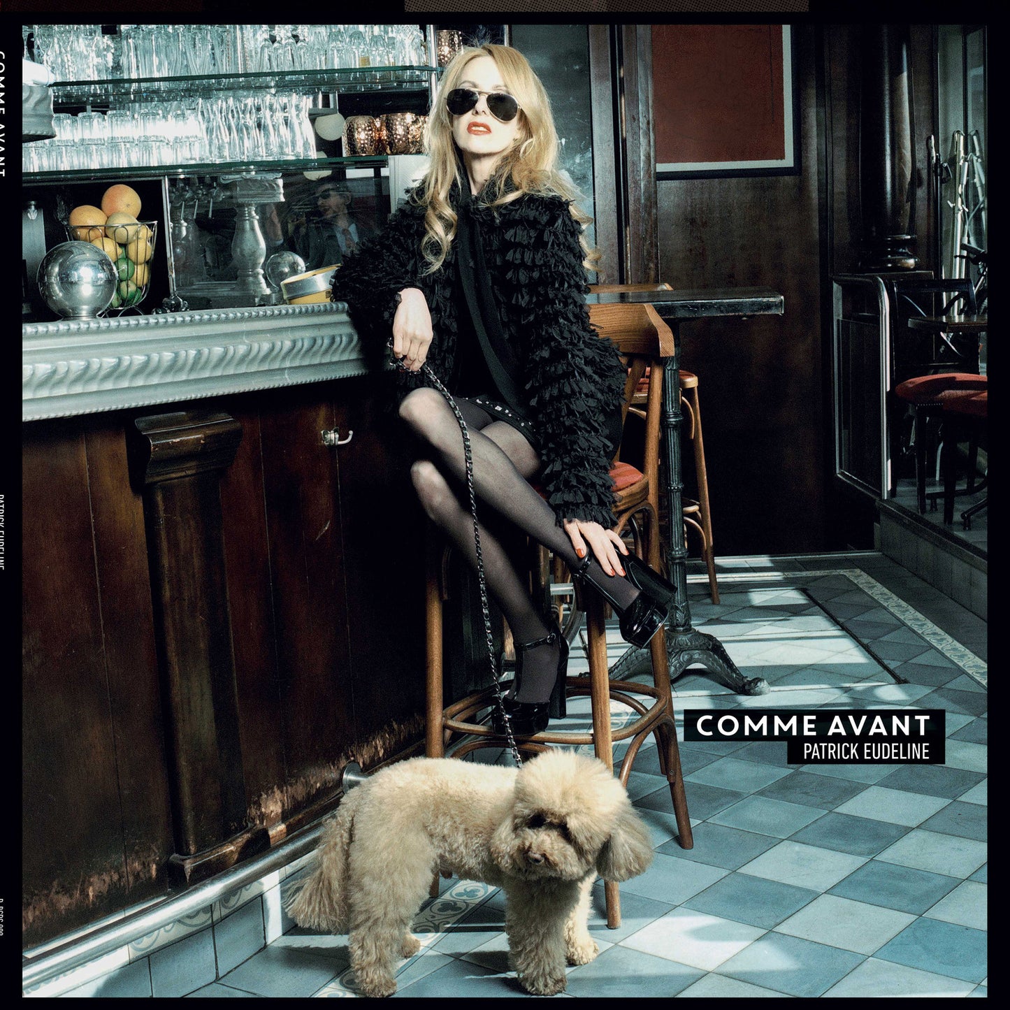 Vinyl album cover featuring a woman with a dog in a cafe.