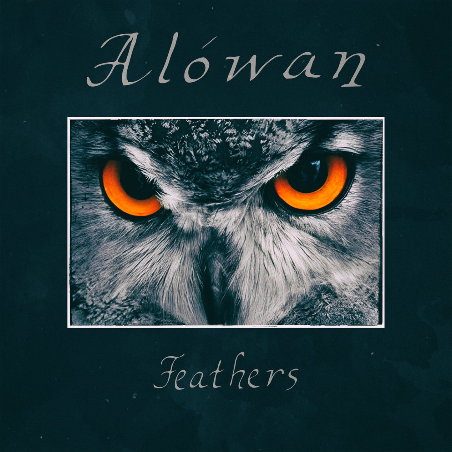 CD cover for Alowan’s “Feathers” featuring an owl’s intense gaze.