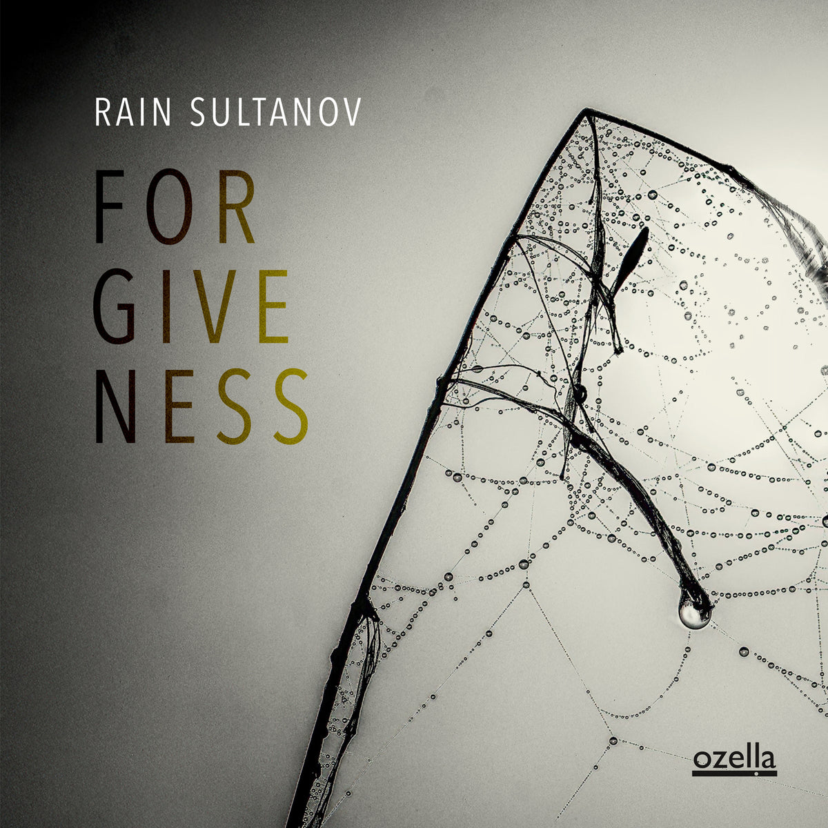 Vinyl album cover featuring a horse head illustration and text āForgivenessā.