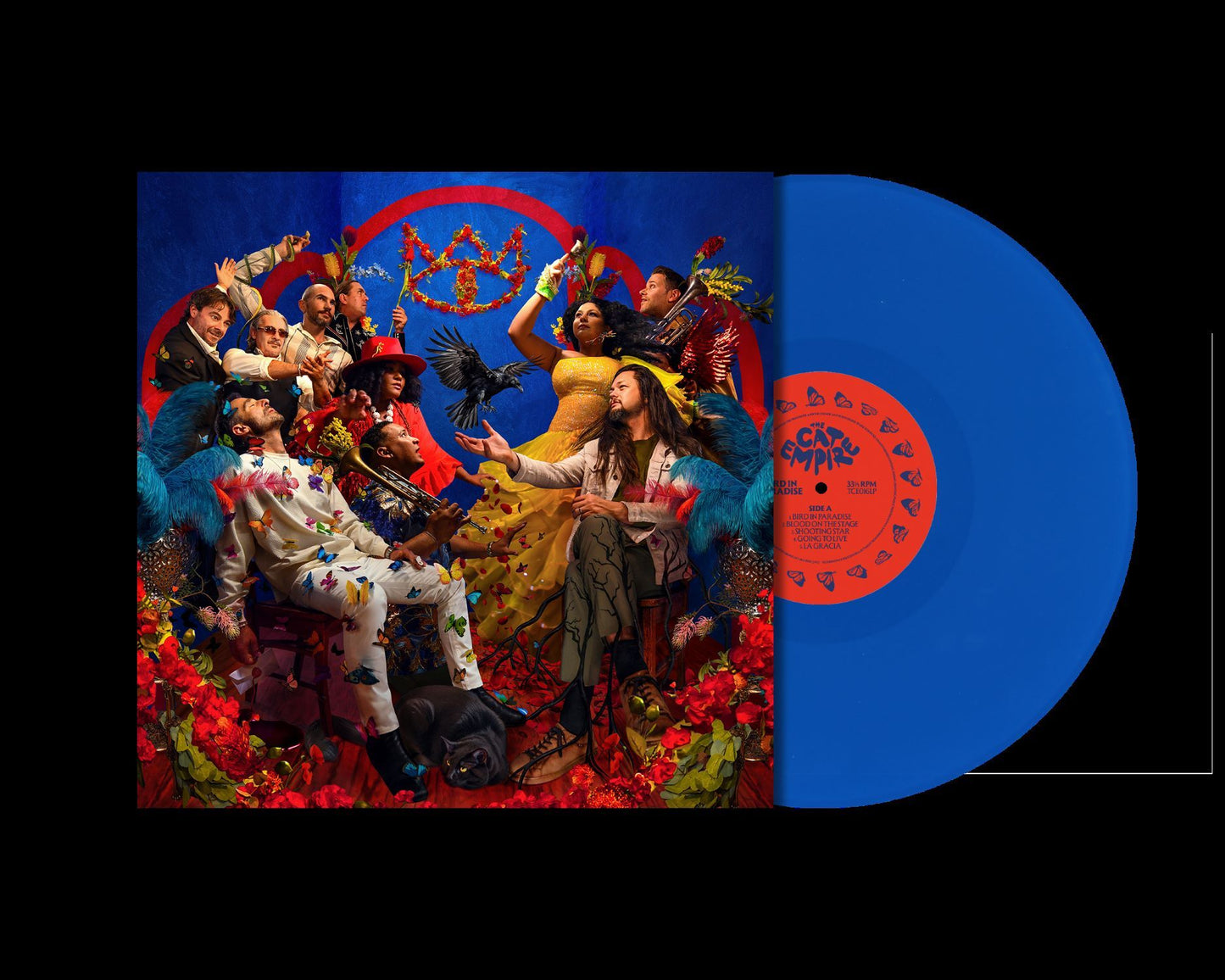 Blue vinyl LP of The Cat Empire’s “Bird in Paradise” album cover.