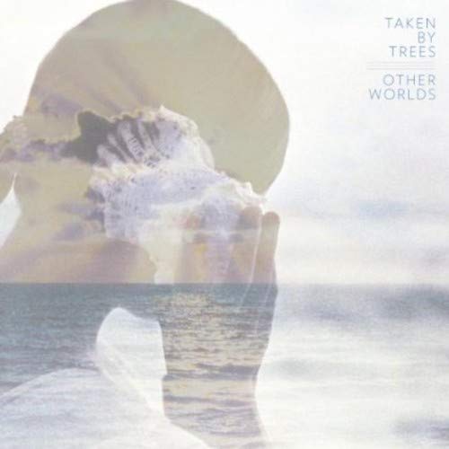 Vinyl record cover with ocean waves and blurred figure.