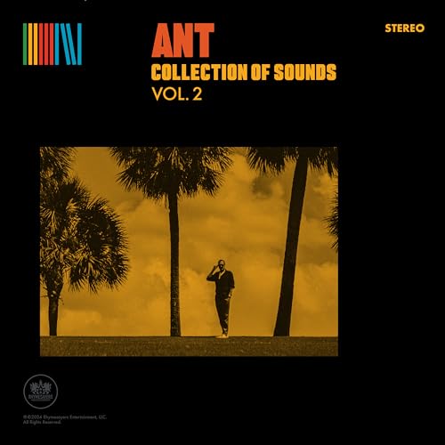 Vinyl record cover: man with phone under palm trees, golden hue.