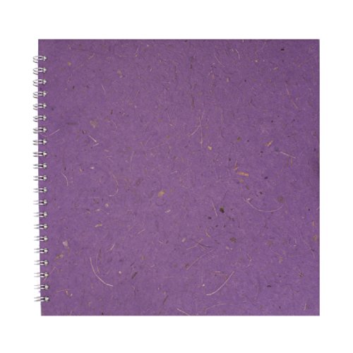 11x11 Posh Black Display 25lvs Amethyst Banana