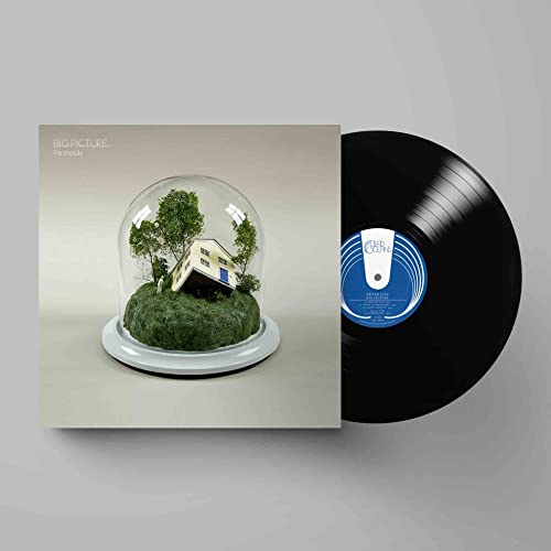 Vinyl record and album cover featuring a house in a glass dome.