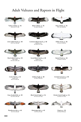 The Birds of Panama: A Field Guide