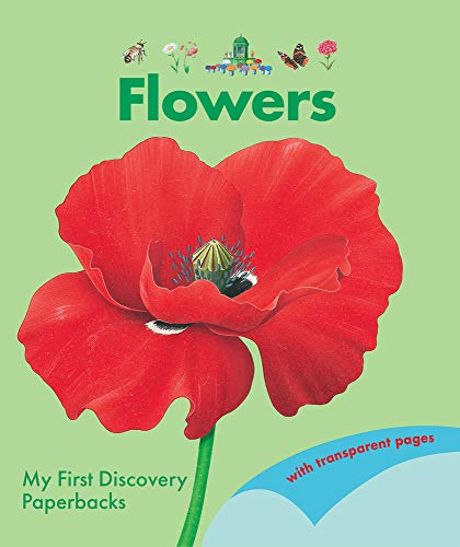 Flowers : 4