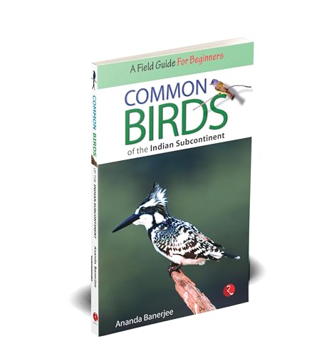 Common Birds of the Indian Subcontinent