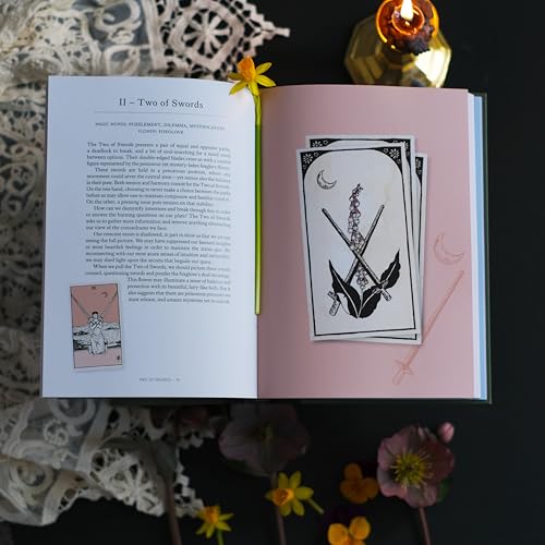 You Will Be Able to Read Tarot by the End of This Book : The illustrated guidebook to unlock your journey through the cards
