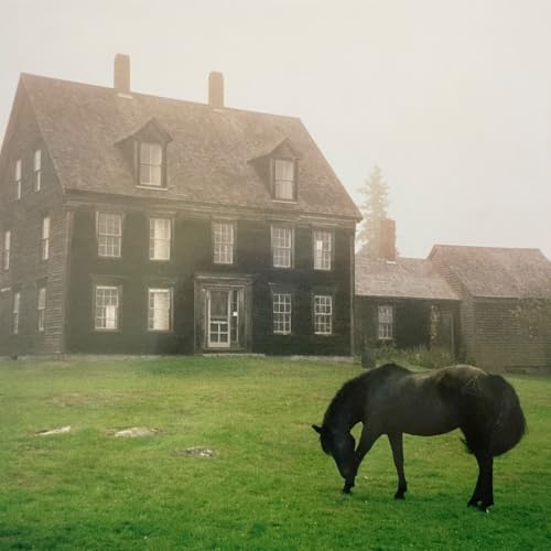 A dark horse grazes on a green lawn in front of a foggy house.
