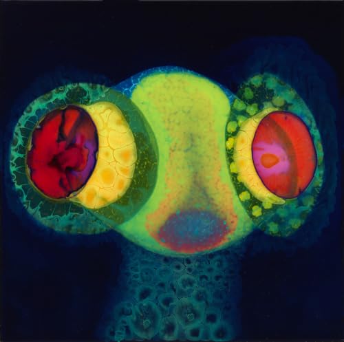 Abstract album cover with colorful, organic shapes resembling eyes.