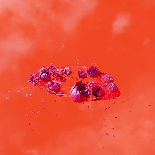 Red roses and petals suspended in liquid against a red background.