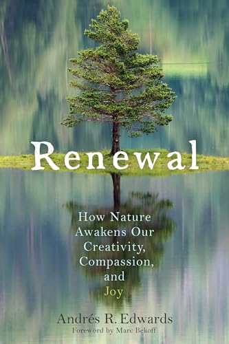 Renewal: How Nature Awakens Our Creativity