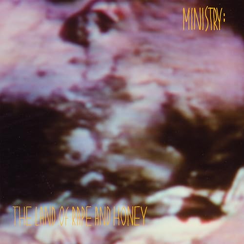 Ministry album cover: abstract pink and brown textures with gold text.