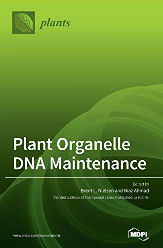 Plant Organelle DNA Maintenance