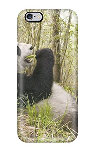 Panda eating bamboo in a forest, depicted on a phone case.