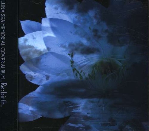 CD cover featuring a large blue flower against a dark background with white text.