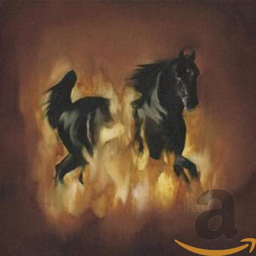 Painted image of two black horses running through golden light.