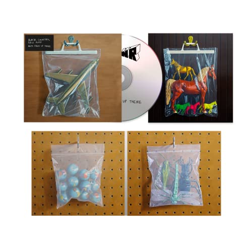 CD and album art featuring plastic bags containing toy airplanes, horses, marbles, and insects.