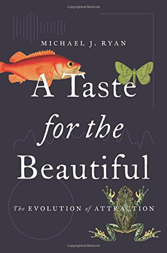 A Taste for the Beautiful: The Evolution of Attraction