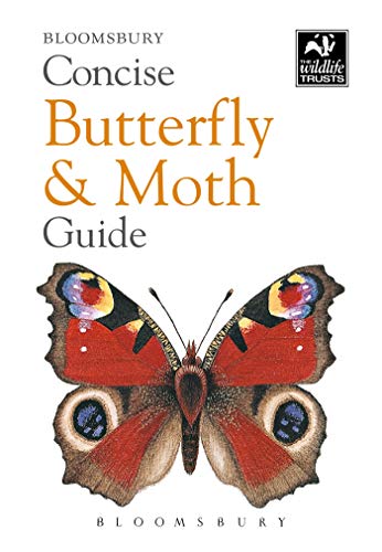 Concise Butterfly and Moth Guide (The Wildlife Trusts)