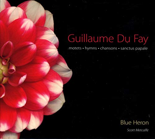 CD cover featuring a large red dahlia and text: Guillaume Du Fay.