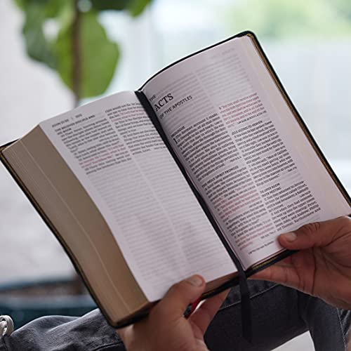 NKJV, End-of-Verse Reference Bible, Personal Size Large Print, Leathersoft, Purple, Red Letter, Comfort Print : Holy Bible, New King James Version
