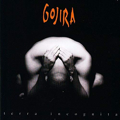 Yes - Terra Incognita vinyl album cover with a shadowed figure.
